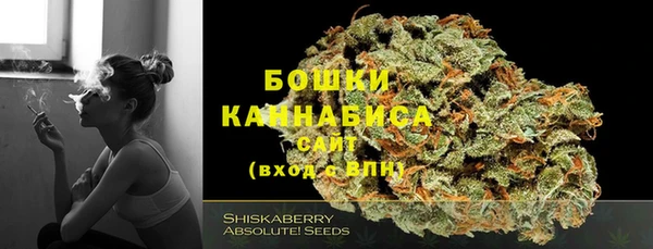 мет Аркадак